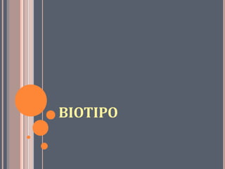 BIOTIPO
 