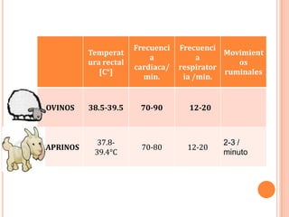 Frecuenci   Frecuenci
           Temperat                            Movimient
                            a            a
           ura rectal                             os
                        cardiaca/   respirator
              [C°]                             ruminales
                          min.       ia /min.


 OVINOS    38.5-39.5     70-90        12-20



             37.8-                            2-3 /
CAPRINOS                 70-80        12-20
            39.4°C                            minuto
 