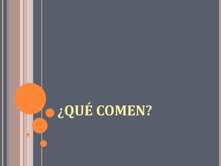 ¿QUÉ COMEN?
 