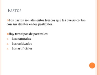 PASTOS
Los pastos son alimentos frescos que las ovejas cortan
con sus dientes en los pastizales.

Hay   tres tipos de pastizales:
1.   Los naturales
2.   Los cultivados
3.   Los artificiales
 