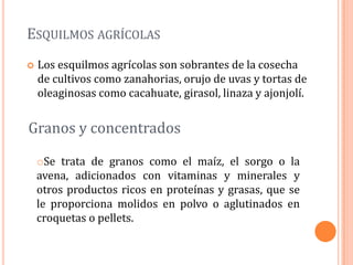 ESQUILMOS AGRÍCOLAS
   Los esquilmos agrícolas son sobrantes de la cosecha
    de cultivos como zanahorias, orujo de uvas y tortas de
    oleaginosas como cacahuate, girasol, linaza y ajonjolí.


Granos y concentrados

    oSe trata de granos como el maíz, el sorgo o la
    avena, adicionados con vitaminas y minerales y
    otros productos ricos en proteínas y grasas, que se
    le proporciona molidos en polvo o aglutinados en
    croquetas o pellets.
 