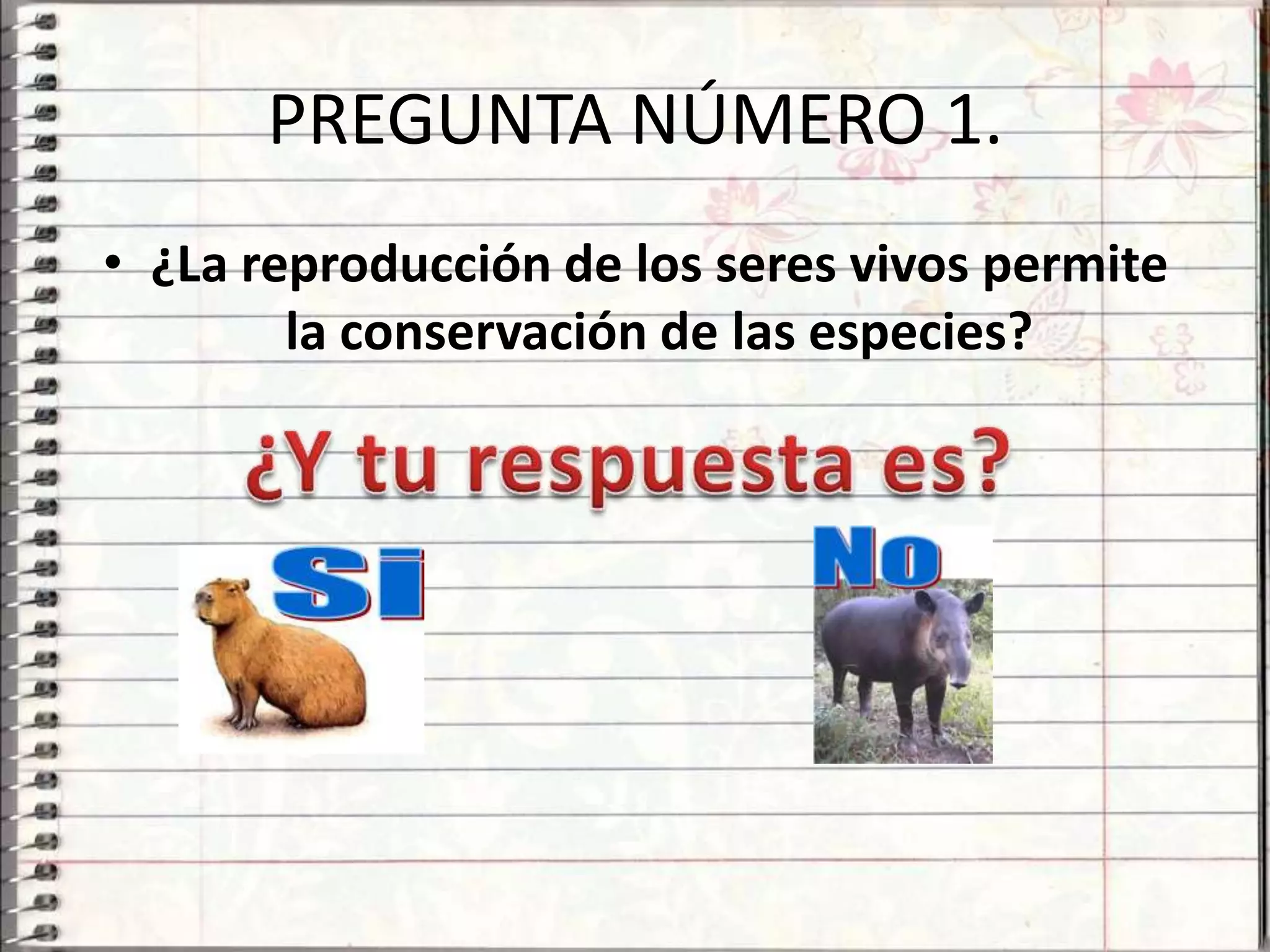 PREGUNTA NÚMERO 1.
• ¿La reproducción de los seres vivos permite
        la conservación de las especies?
 