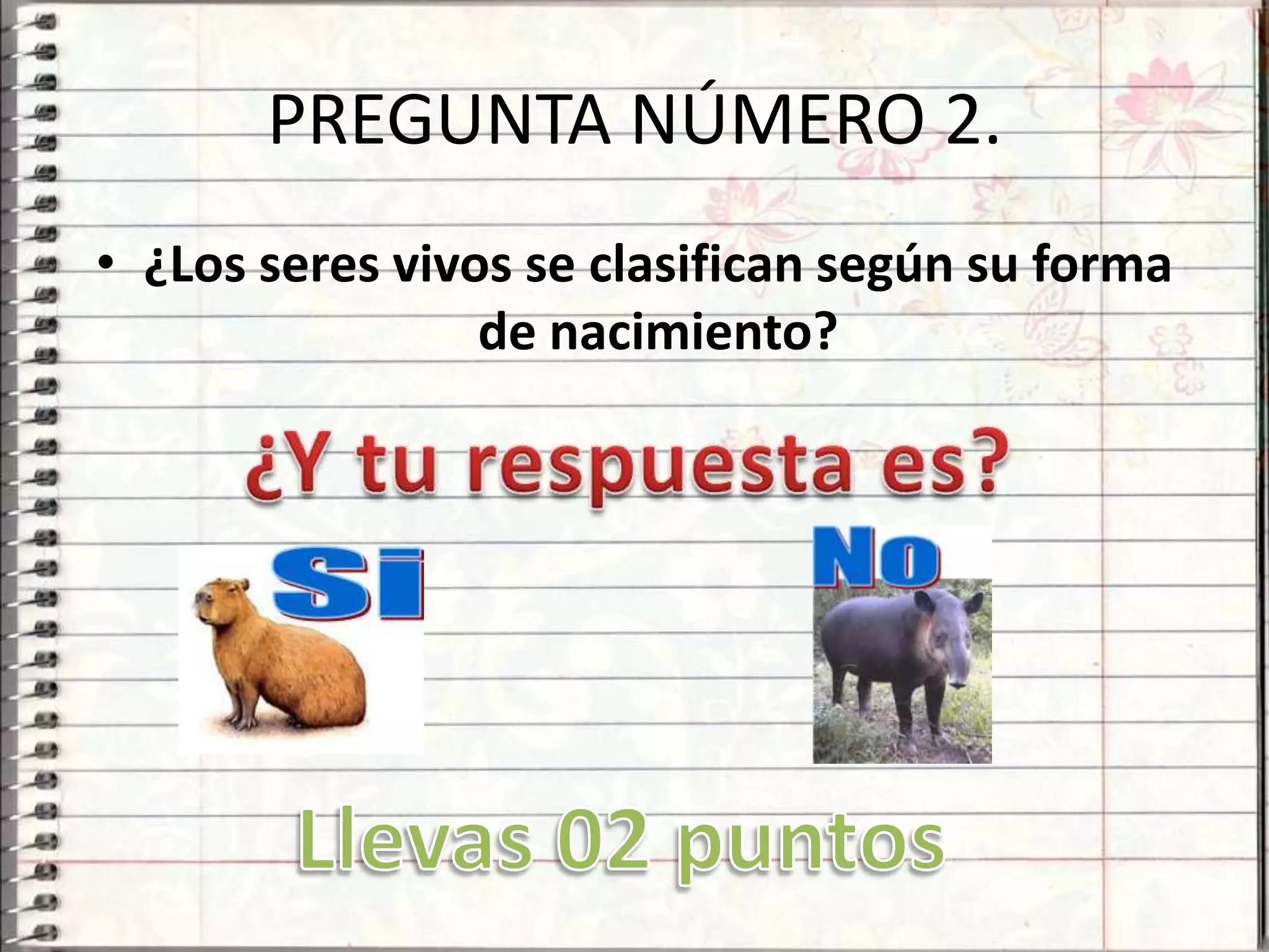 PREGUNTA NÚMERO 2.
• ¿Los seres vivos se clasifican según su forma
                 de nacimiento?
 
