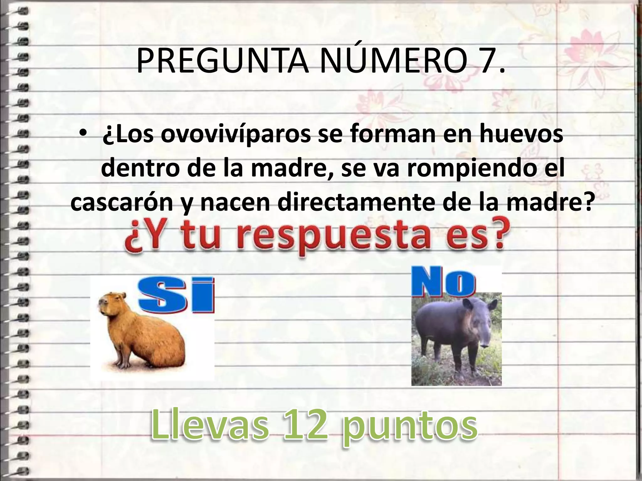 PREGUNTA NÚMERO 7.
 • ¿Los ovovivíparos se forman en huevos
   dentro de la madre, se va rompiendo el
cascarón y nacen directamente de la madre?
 