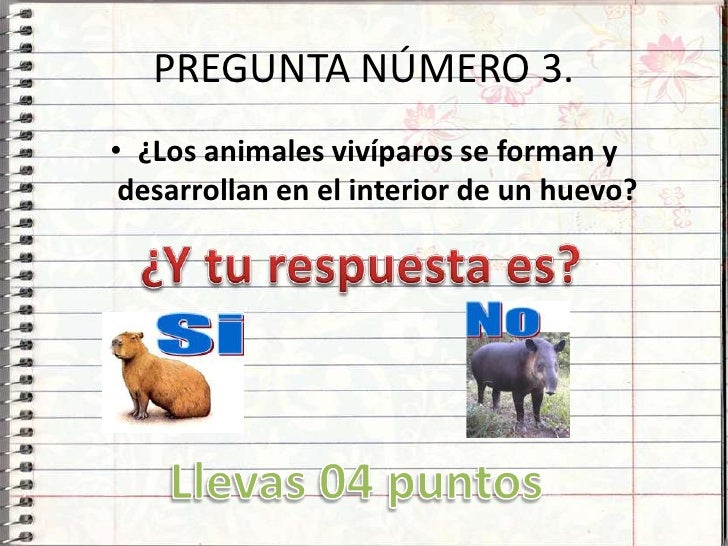 Viviparos Oviparos Y Ovoviviparos
