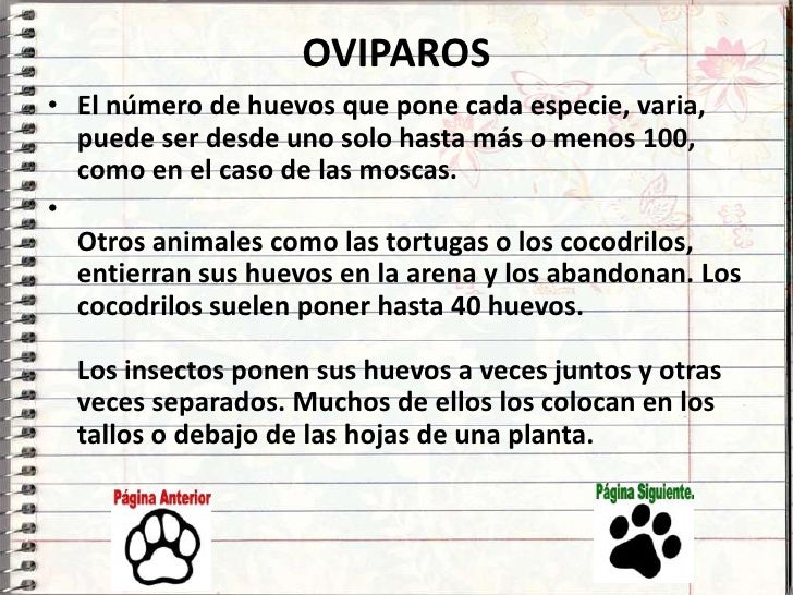 Viviparos Oviparos Y Ovoviviparos
