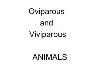 Oviparous
and
Viviparous
ANIMALS
 