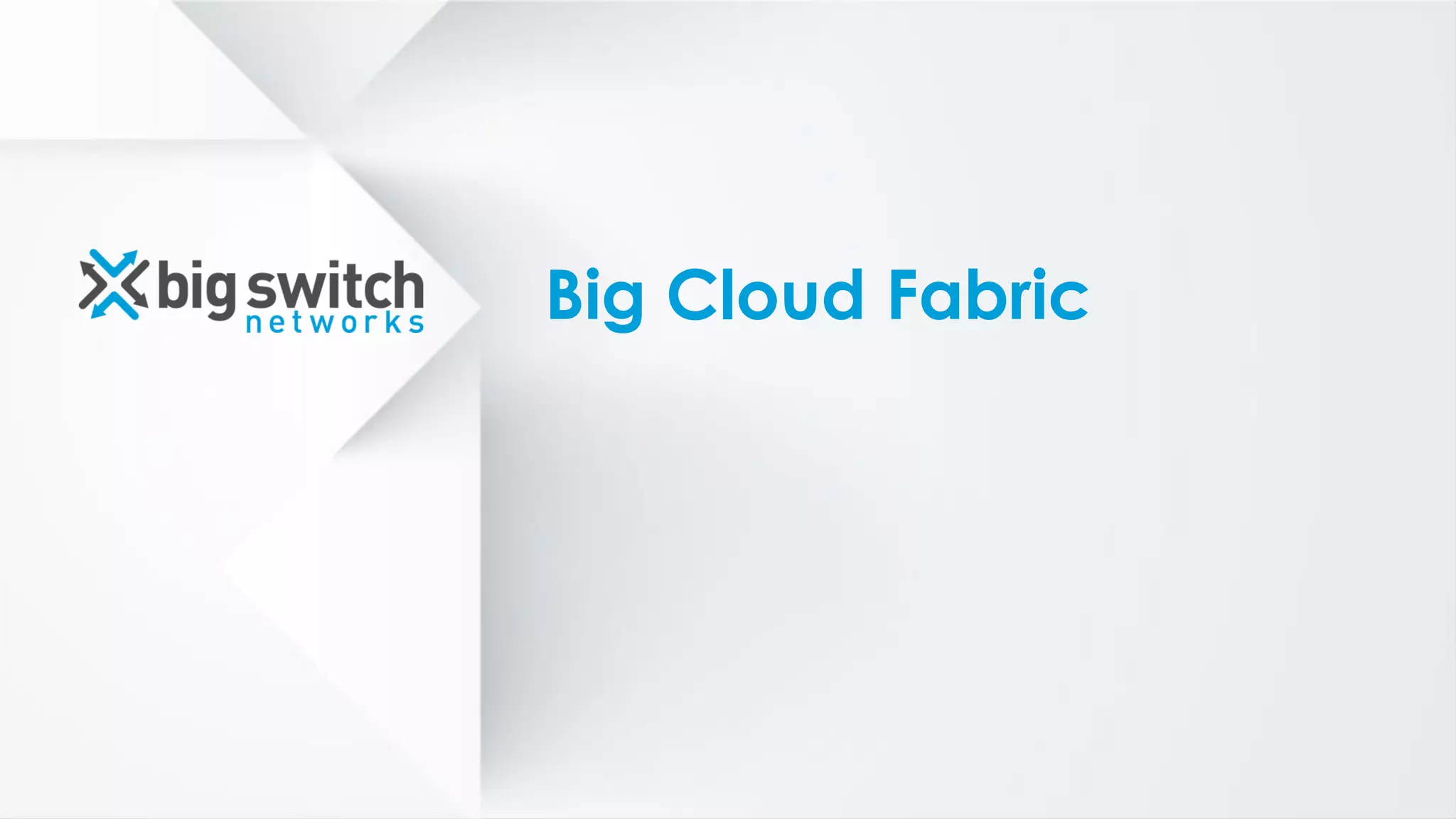 Big Cloud Fabric
 