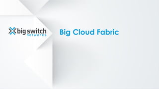Big Cloud Fabric
 