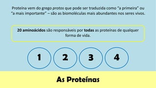 Proteína vem do grego protos que pode ser traduzida como “a primeira” ou
“a mais importante” – são as biomoléculas mais abundantes nos seres vivos.


   20 aminoácidos são responsáveis por todas as proteínas de qualquer
                            forma de vida.




              1             2             3             4

                         As Proteínas
 