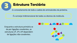 3        Estrutura Terciária
        é o enovelamento de toda a cadeia de aminoácidos da proteína.

         É o arranjo tridimensional de todos os átomos da molécula.




Enquanto a estrutura primária se
 da por ligações covalentes, as
estruturas 2ª, 3ª e 4ª dependem
  de ligações não-covalentes.
 