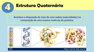 4     Estrutura Quaternária

    Acontece a disposição de mais de uma cadeia (subunidades) na
          composição de uma mesma molécula de proteína.
 