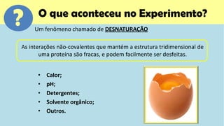 ?     O que aconteceu no Experimento?
     Um fenômeno chamado de DESNATURAÇÃO

As interações não-covalentes que mantém a estrutura tridimensional de
       uma proteína são fracas, e podem facilmente ser desfeitas.


      •   Calor;
      •   pH;
      •   Detergentes;
      •   Solvente orgânico;
      •   Outros.
 