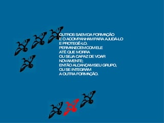 OUTROS SAEM DA FORMAÇÃO  E O ACOMPANHAM PARA AJUDÁ-LO E PROTEGÊ-LO. PERMANECEM COM ELE  ATÉ QUE MORRA OU SEJA CAPAZ DE VOAR  NOVAMENTE; ENTÃO ALCANÇAM SEU GRUPO,  OU SE INTEGRAM A OUTRA FORMAÇÃO. 