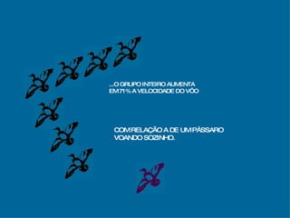 ...O GRUPO INTEIRO AUMENTA  EM 71% A VELOCIDADE DO VÔO COM RELAÇÃO A DE UM PÁSSARO VOANDO SOZINHO. 