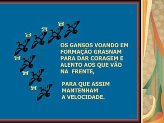 g g g g g g OS GANSOS VOANDO EM FORMAÇÃO GRASNAM PARA DAR CORAGEM E ALENTO AOS QUE VÃO NA  FRENTE, PARA QUE ASSIM MANTENHAM A VELOCIDADE. 