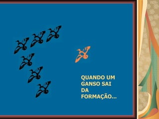 QUANDO UM GANSO SAI  DA FORMAÇÃO... 