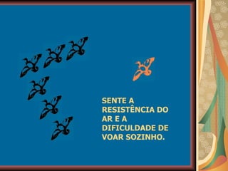 SENTE A RESISTÊNCIA DO AR E A DIFICULDADE DE VOAR SOZINHO. 