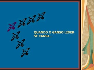 QUANDO O GANSO LIDER SE CANSA... 