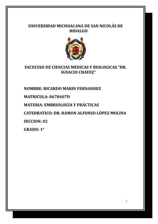 UNIVERSIDAD MICHOACANA DE SAN NICOLÁS DE
                   HIDALGO




FACULTAD DE CIENCIAS MEDICAS Y BIOLOGICAS “DR.
                IGNACIO CHAVEZ”


NOMBRE: RICARDO MARIN FERNANDEZ
MATRICULA: 0678407D
MATERIA: EMBRIOLOGÍA Y PRÁCTICAS
CATEDRATICO: DR. RAMON ALFONSO LÓPEZ MOLINA
SECCION: 02
GRADO: 1°




                                             1
 