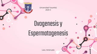 Ovogenesisy
Espermatogenesis
Lara, Venezuela
Universidad Yacambú
2020-3
 