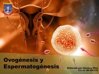 Ovogénesis y
Espermatogénesis Elaborado por: Hanzony Silva
C.I.: V.- 20.369.179
 