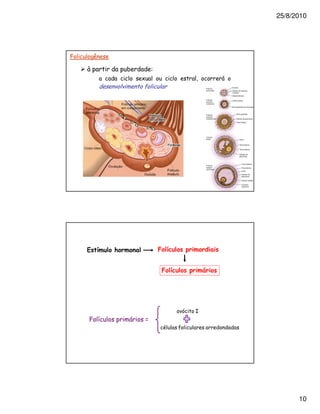 25/8/2010




9       +

    ;               &
                        #                   -




            <   &               <


                                    <           8




                                        1   2
    9 !                     .




                                                          10
 