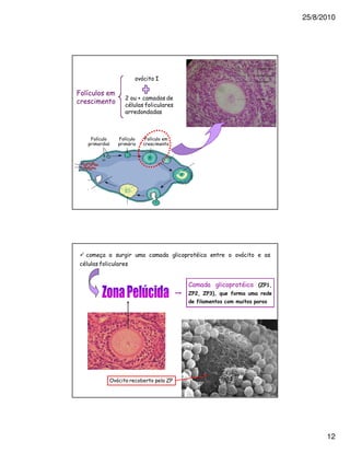 25/8/2010




                        1         2

9 !
                    $   <




      9 !         9 !       9 !




                                                             1




                                          =                      +A 1>3
                                          A 1B3 A 1C-3   2
                                              2




            0 1         &             >




                                                                                12
 