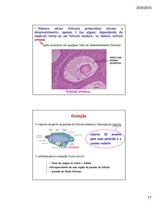 25/8/2010




*               8           2 <
                   3           > +                  '
    -             ,         2 <                 3                         2

                                       2                              2       /



                                                                  5
                                                                   $




                             <




                                           "#

                                       !                &                 1


                                                             00
                                                                  $

                                  "#


!                                          @A

        :   2 E                   8        =
        :   2                               #               2 <
        :           #   2     2




                                                                                        17
 