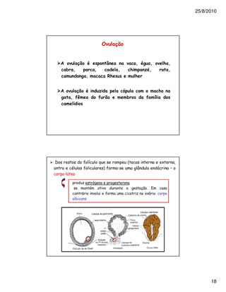 25/8/2010




                                                 "#


5                "#                       )                   3       3           & 3
    *    3                        3               3       &           3             3
                      3                     !&                &


5          "#                                                                 &
        3 2                           2 #             *           2       <
         <




                          !           ?                                           #       -
                                                 :            ,               1       7


                              1
                                                                  3 B

             &




                                                                                                    18
 