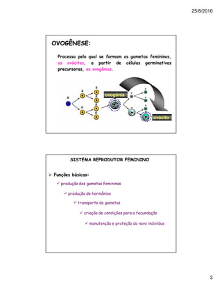 25/8/2010




1                            2                2             3
                3
               3         %       /




                             ovogônia




                                                  ovócito




         0 4        5 ! 1! . 6 4 !      0 0


    "7   *8




                                                   !




                                                                       3
 