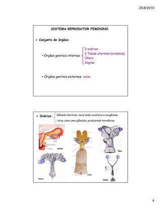 25/8/2010




         0 4       5 ! 1! . 6 4 !     0 0


(    9             #

                               $
                               $% &
    •"
                               '
                               (



     "                 #




     8    )*                                +

          )                ,   -




               &
                                                :




1
                                        (




                                                           4
 
