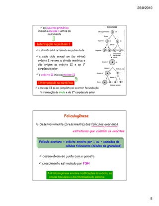 25/8/2010




            1
                     2




2                        1           2

                1                         &

                         #
    1       2                                 1
                             1       22           56


        1       22                       22


2
            22 1
                     1                   $6




                                                                   !




        <                    =                                 >       ?
                                              2            +               -


                         7       8

                                                       @


             A foliculogênese envolve modificações do ovócito, as
            células foliculares e dos fibroblastos do estroma




                                                                                      8
 