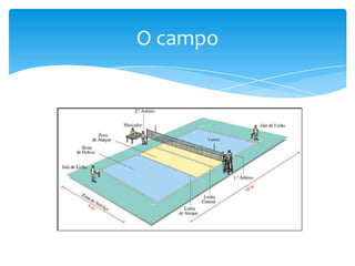 O campo
 