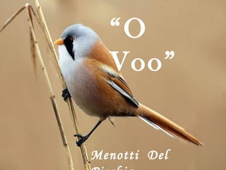 “O
Voo”
Menotti Del
 