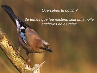 Que sabes tu do fim?
Se temes que teu mistério seja uma noite,
enche-os de estrelas.
 