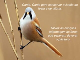 Canta. Canta para conservar a ilusão de
festa e de vitória.
Talvez as canções
adormeçam as feras
que esperam devorar
o pássaro.
 
