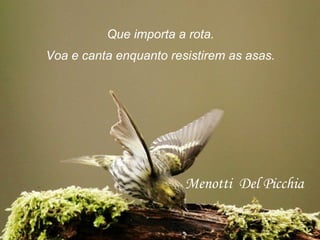 Que importa a rota.
Voa e canta enquanto resistirem as asas.
Menotti Del Picchia
 