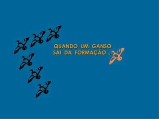 QUANDO  UM  GANSO SAI  DA  FORMAÇÃO ... 