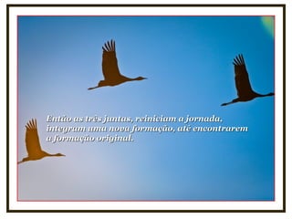 Então as três juntas, reiniciam a jornada,Então as três juntas, reiniciam a jornada,
integram uma nova formação, até encontraremintegram uma nova formação, até encontrarem
a formação original.a formação original.
 