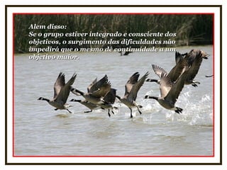 Alem disso:Alem disso:
Se o grupo estiver integrado e consciente dosSe o grupo estiver integrado e consciente dos
objetivos, o surgimento das dificuldades nãoobjetivos, o surgimento das dificuldades não
impedirá que o mesmo dê continuidade a umimpedirá que o mesmo dê continuidade a um
objetivo maior.objetivo maior.
 