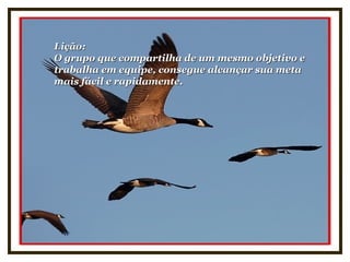 Lição:Lição:
O grupo que compartilha de um mesmo objetivo eO grupo que compartilha de um mesmo objetivo e
trabalha em equipe, consegue alcançar sua metatrabalha em equipe, consegue alcançar sua meta
mais fácil e rapidamente.mais fácil e rapidamente.
 