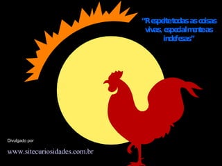 “ Respeite todas as coisas vivas, especialmente as indefesas” www.sitecuriosidades.com.br Divulgado por 