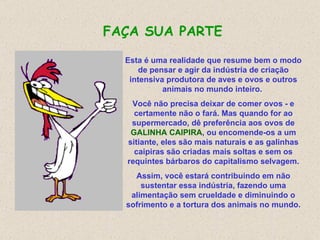 Esta é uma  realidade  que resume bem o modo de pensar e agir da indústria  de criação intensiva  produtora de aves e ovos  e outros animais no mundo inteiro .   Você não precisa deixar de comer ovos  - e certamente não o fará.   M as quando for ao supermercado, d ê  preferência aos ovos de  GALINHA CAIPIRA , ou encomende-os a um sitiante ,  eles são mais naturais e as galinhas caipiras são  criadas mais soltas e sem  os  requintes  bárbaros do capitalismo selvagem . Assim , você estará contribuindo  em não sustentar essa indústria, fazendo  uma alimentação sem crueldade  e diminuindo o sofrimento e a tortura dos animais no mundo . FAÇA SUA PARTE 