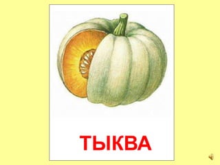 ТЫКВА
 
