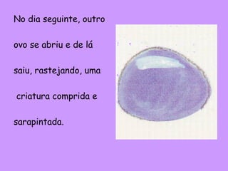 No dia seguinte, outro
ovo se abriu e de lá
saiu, rastejando, uma
criatura comprida e
sarapintada.

 