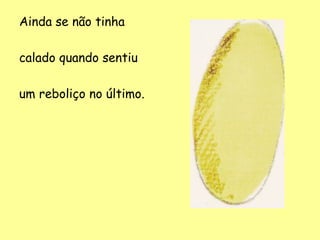 Ainda se não tinha
calado quando sentiu
um reboliço no último.

 