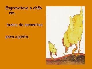 Esgravatava o chão
em
busca de sementes
para o pinto.

 