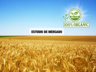 ESTUDIO DE MERCADOESTUDIO DE MERCADO
 