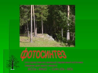 это единственно важный первичный источник
энергии для всего живого
  6CO2 + 6H2O    -> C6H12O6 + 6O2
 